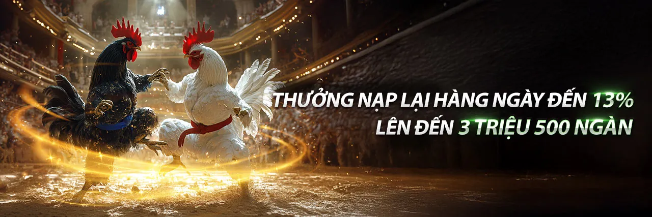 Đá gà trực tuyến 98win01 win - Sân đấu kịch tính