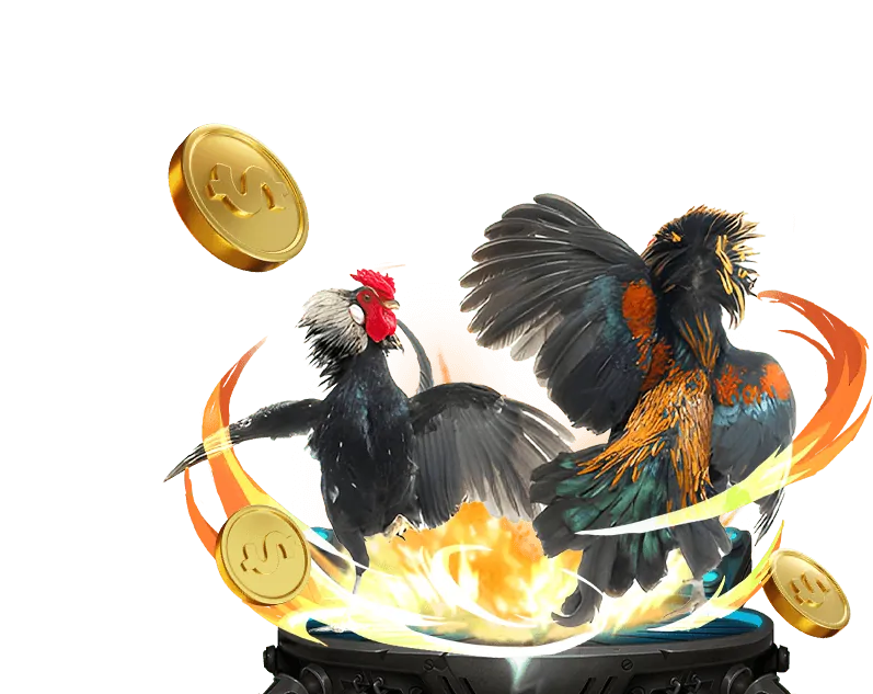 Tổng quan về đá gà trực tuyến tại 98win01 win